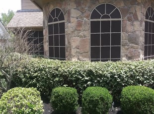 Bush Trimming by Loyd Ellis for Steven R. in Katy, TX