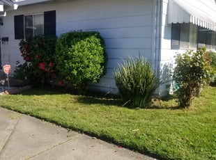 Bush Trimming by Joshua Muehe for TJ K. in Citrus Heights, CA