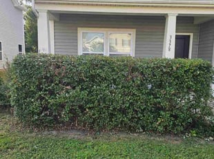 Bush Trimming by Pavel Artyukh for Ian y. in Midland, NC