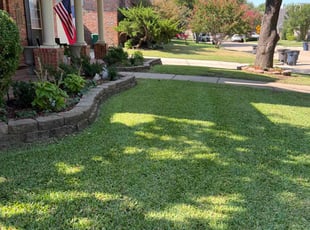Frank N.'s Lawn Maintenance service result