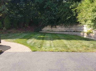 Scott S.'s Lawn Care service result