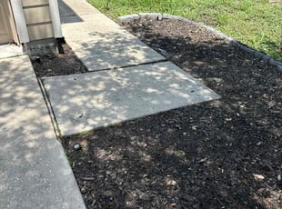 Weeding by Wilson Calderon for Courtney D. in Houston, TX