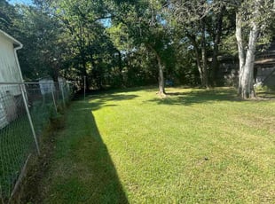 Megan B.'s Lawn Care service result