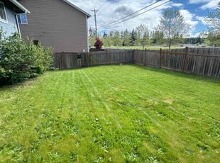 Michelle l.'s Lawn Mowing Service service result