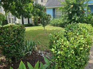 Bush Trimming by Edgar Rangel for Sherelle A. in Montgomery, AL