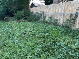 Weeding by Drew Jones for Kim M. in Papillion, NE