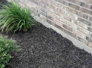 Weeding by Carina Perez for Christina A. in Houston, TX