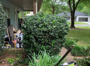 Bush Trimming by Jeremy Younts for Lynne C. in Charlotte, NC