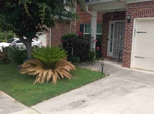 Bush Trimming by Jesse Blackshear for Brandon M. in Decatur, GA