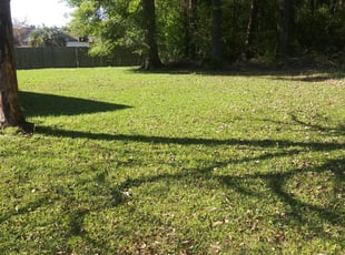 Cleanups by Donald George for Carrie S. in Zachary, LA