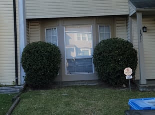 Bush Trimming by Kevin Lewis for Allan J. in Virginia Beach, VA