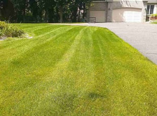 Steven W.'s Lawn Service service result