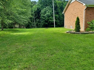 Linda J.'s Lawn Mowing Service service result