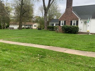 Sheryl M.'s Grass Cutting service result