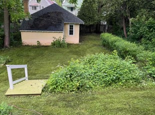 Mark P.'s Lawn Mowing service result