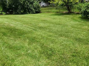 Katrina W.'s Lawn Service service result