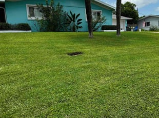 Jesse V.'s Lawn Service service result