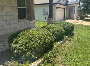 Bush Trimming by Noah Morrison for Paul K. in Hutto, TX