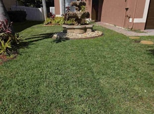 Stephen K.'s Lawn Care service result