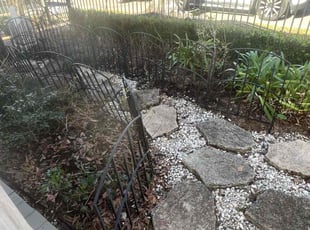 Bush Trimming by Nicholas Boutte for Jeanie Z. in New Orleans, LA