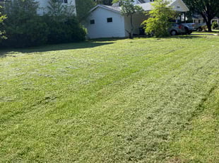 Francisco G.'s Lawn Service service result