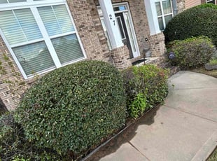 Bush Trimming by Marvin McCoy for Steven T. in Blythewood, SC