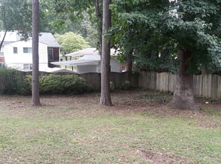Bush Trimming by Sheila Twiggs for Eric H. in Hapeville, GA
