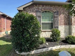 Bush Trimming by Nicolas Simkins for Arthur L. in Haslet, TX