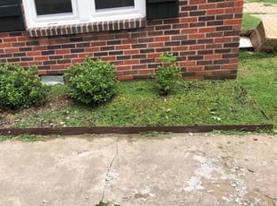 Weeding by Paul Handley for Francisco R. in Tulsa, OK