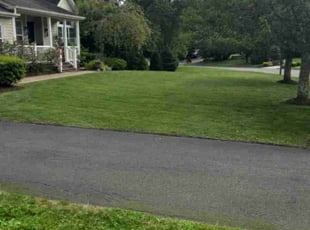 Jeff T.'s Lawn Mowing service result