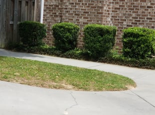 Bush Trimming by Justin Knight for Debbie G. in Hanahan, SC
