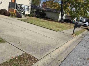 Mike G.'s Lawn Care service result