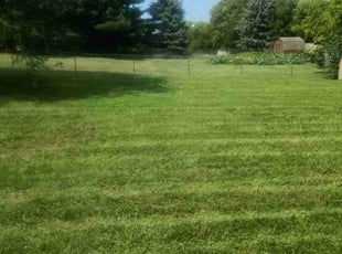 Janet R.'s Lawn Care service result