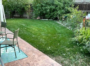 Lisl W.'s Grass Cutting service result