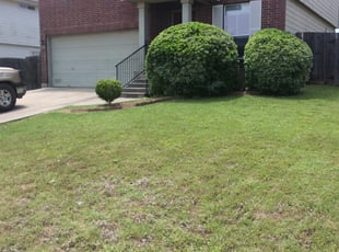 Bush Trimming by Greg Hopper for Gary P. in Universal City, TX