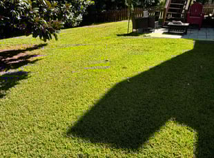Kevin H.'s Lawn Maintenance service result