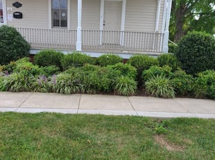 Weeding by Marion Williams for Mark K. in Laurel, MD