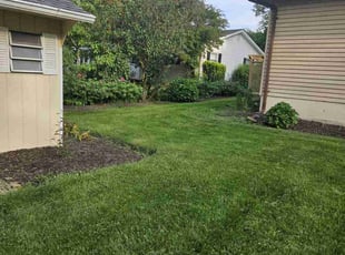 Silvia C.'s Lawn Care service result