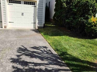 Melissa S.'s Yard Cutting service result