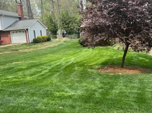 Alice C.'s Lawn Service service result
