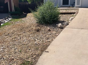 Cleanups by Garan Stalcup for David P. in Fountain, CO