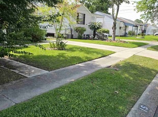 Kim B.'s Lawn Mowing Service service result
