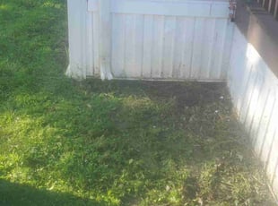 Cleanups by Michael McDaniel for Christine S. in Greenwood, IN