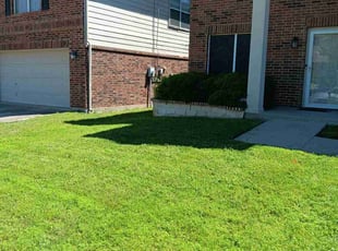 Sheila C.'s Lawn Service service result