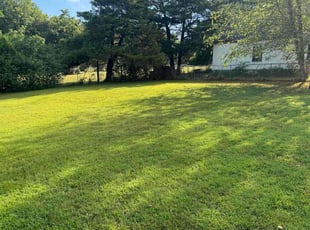 Ken N.'s Yard Cutting service result