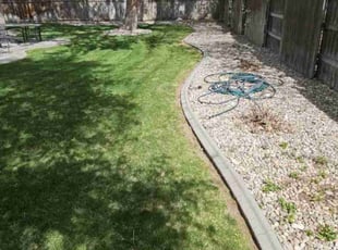 Katrina F.'s Yard Cutting service result