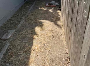 Weeding by Keith Dalke for Travis D. in San Diego, CA