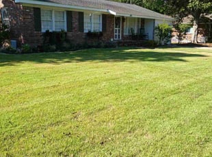 Jason J.'s Lawn Mowing service result
