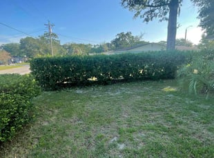 Bush Trimming by Vee Primus for Genny W. in Orange Park, FL