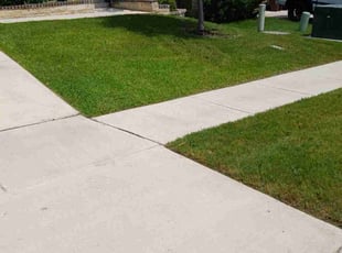 Tauni O.'s Lawn Care service result